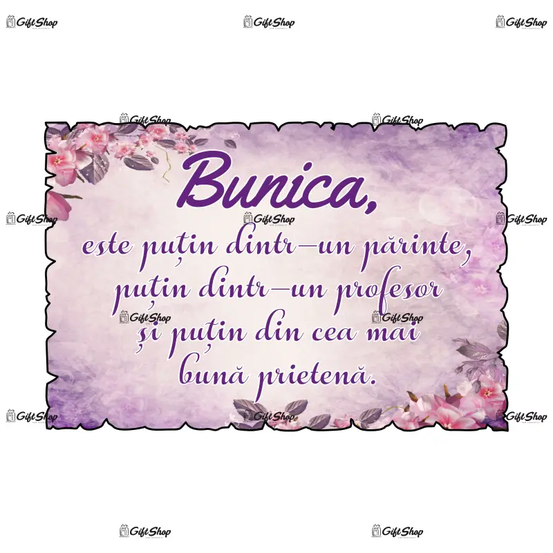 Bunica este putin dintr-un parinte,,,, magnet frigider mgs096